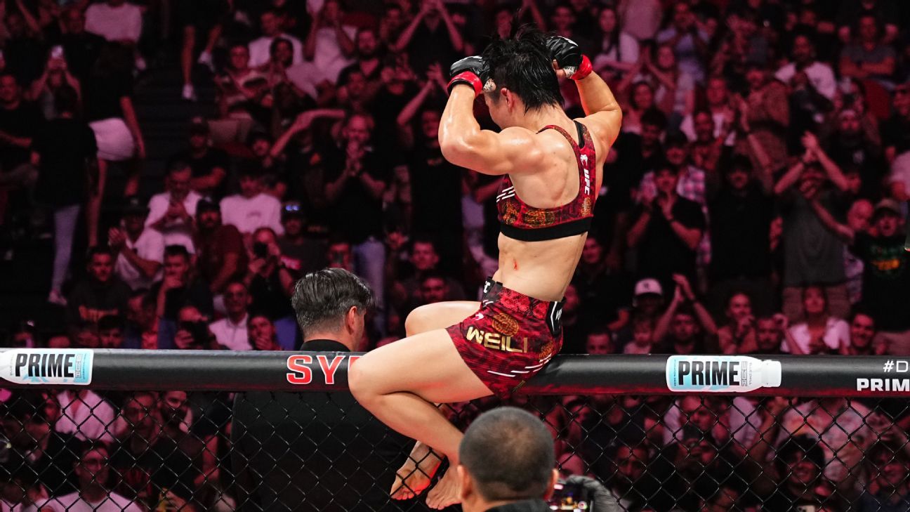 使得国家队 使得国家队