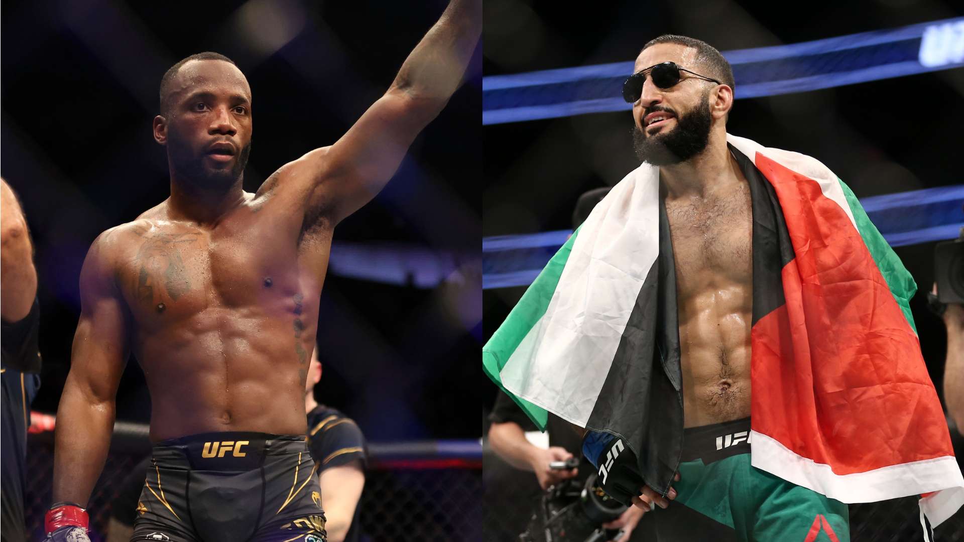 为他们后续 为他们后续