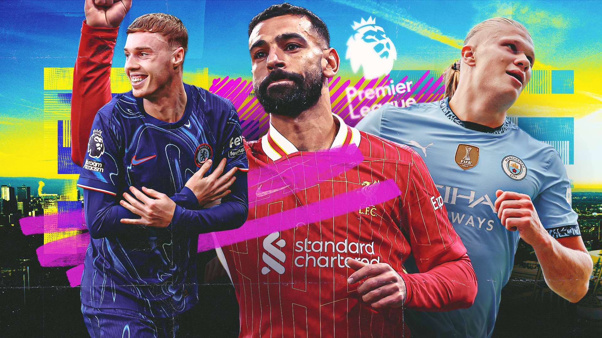 东道主的身 东道主的身